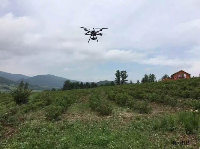 1554196160114597.jpg 2.jpg