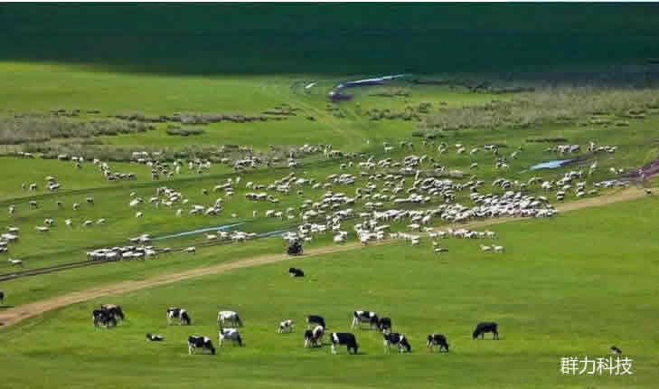 1614304253588459.jpg 1.jpg