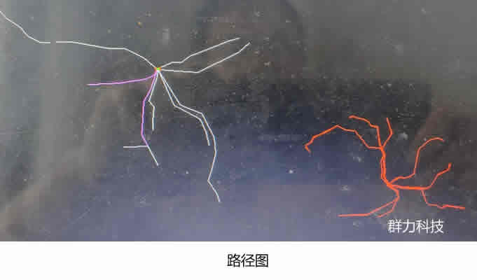 1614304297127675.jpg 4.jpg