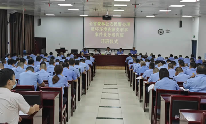 1627546917801509.jpg 2.jpg