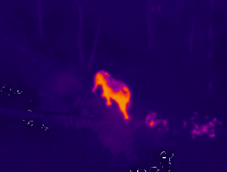 1657501742131944.jpg 2.jpg