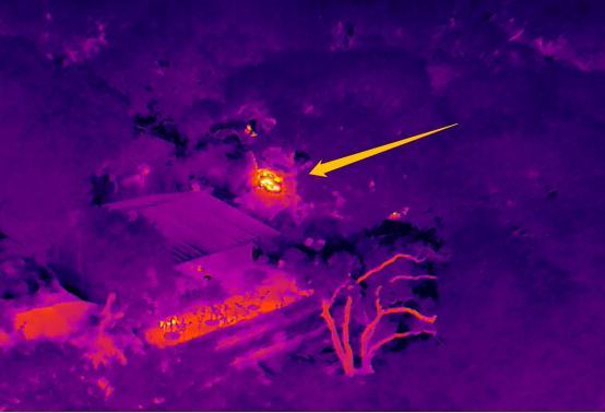 1657506153108095.jpeg 5.jpeg