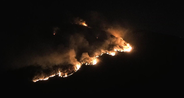 1666770305725817.jpg 圖片23.jpg